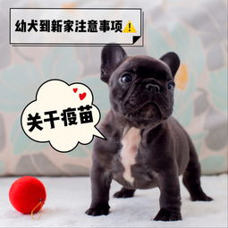 順產(chǎn),注意事項