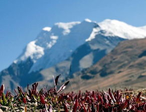 高原,注意事項,旅行,地區(qū)