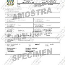 安哥拉,注意事項(xiàng),工作