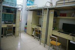 搬遷,學(xué)生宿舍,注意事項(xiàng)