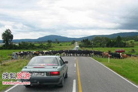 葡萄牙,自駕,注意事項(xiàng)