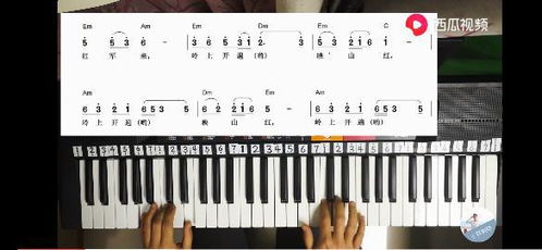 電子琴,注意事項