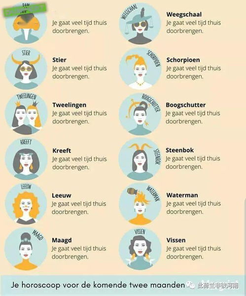 給荷蘭人報價注意事項