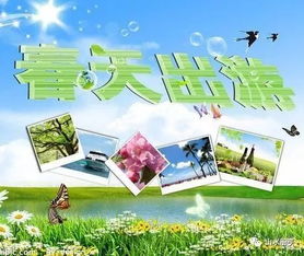 出游安全注意事項說明,幼兒出游安全注意事項,班級活動安全注意事項