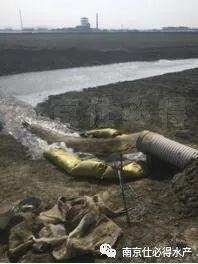 新開(kāi),螃蟹,注意事項(xiàng)