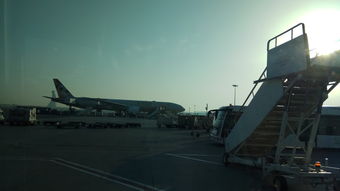 阿聯(lián)酋,注意事項,跟團,旅游