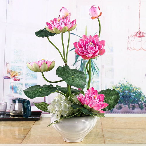 供蓮花燈注意事項(xiàng)