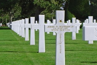 墓地,注意事項(xiàng),回來(lái)