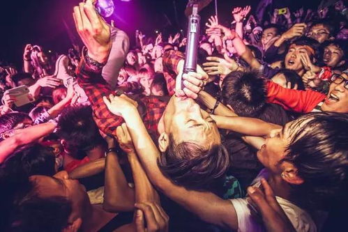 搖滾現(xiàn)場注意事項(xiàng)