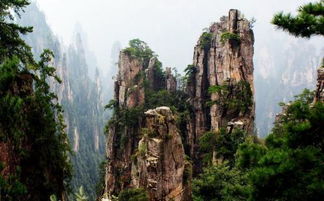 張家界,注意事項,跟團(tuán)