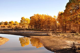 注意事項(xiàng),攝影