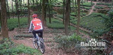 野外,注意事項(xiàng)