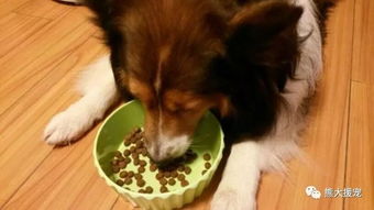 抗酸染色注意事項(xiàng),he染色注意事項(xiàng),芽孢染色注意事項(xiàng)