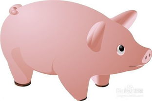 防病,養(yǎng)豬,注意事項(xiàng)