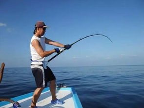 海水電魚(yú)注意事項(xiàng)