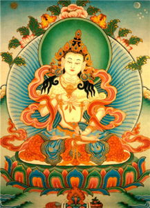 注意事項(xiàng),不空,罥索咒經(jīng)