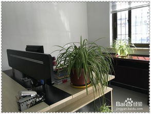 入住新家注意事項及禁忌,酒店入住注意事項,孕婦入住新房注意事項