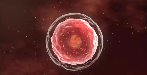 注意事項,細(xì)胞