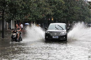 臺風暴雨天氣行車注意事項,臺風天氣安全行車注意事項,暴雨天氣安全行車注意事項