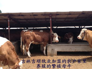 挑選鋼琴的注意事項(xiàng),鉆戒挑選注意事項(xiàng),挑選三金的注意事項(xiàng)