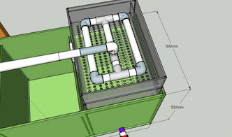 魚(yú)缸,注意事項(xiàng)
