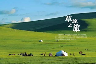 諾爾,注意事項(xiàng),草原