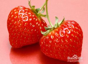 草莓移栽注意事項(xiàng),草莓種植注意事項(xiàng),草莓澆水注意事項(xiàng)