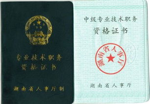 南京,申報,注意事項,中級職稱