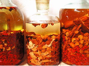 蘄蛇,藥酒,注意事項