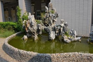 假山,要注意,事項(xiàng),設(shè)計(jì)