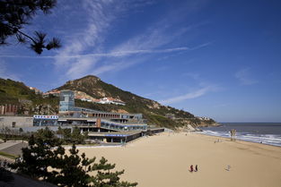 連云港連島注意事項(xiàng)