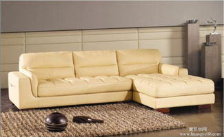 皮質(zhì),注意事項,沙發(fā)