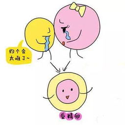 精子著床期間注意事項