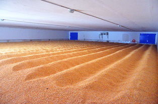 新建糧食倉(cāng)庫(kù)注意事項(xiàng)