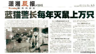 殺蟲(chóng),注意事項(xiàng),酒店