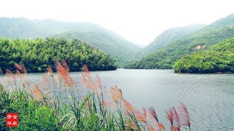 天池,注意事項,九華,旅游