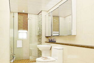 衛(wèi)生間的裝修注意事項(xiàng),衛(wèi)生間潔具裝修效果圖,浴室和衛(wèi)生間安全裝修注意事項(xiàng)有哪些