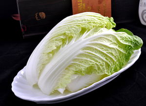 大白菜,注意事項