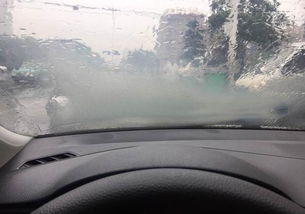 新魚塘下雨天注意事項