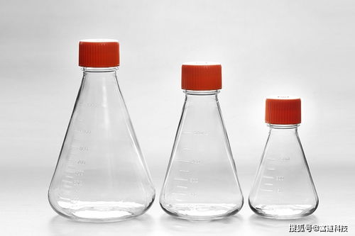 細(xì)胞培養(yǎng)的步驟以及注意事項(xiàng),細(xì)胞培養(yǎng)無菌操作的注意事項(xiàng),mdck細(xì)胞培養(yǎng)注意事項(xiàng)