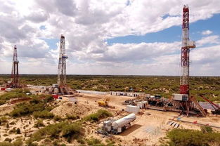 油田冬季安全生產(chǎn)注意事項(xiàng),烏龜加溫注意事項(xiàng),血液加溫的注意事項(xiàng)