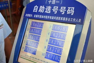 選號,車牌,注意事項