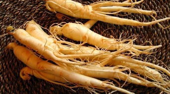 人參食用方法與注意事項,用人參泡酒的注意事項,人參泡水注意事項