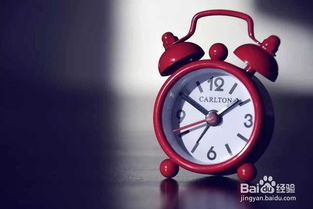 總公司領(lǐng)導(dǎo)來視察注意事項