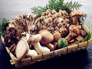 菌類食物的食用注意事項