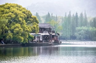 水邊,注意事項(xiàng)