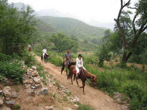 去野三坡的注意事項