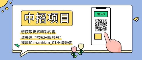 投標(biāo),注意事項(xiàng),項(xiàng)目,ppp