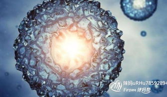 細(xì)胞美雕后注意事項,細(xì)胞美療后注意事項,細(xì)胞傳代注意事項