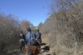 納西族注意事項(xiàng)